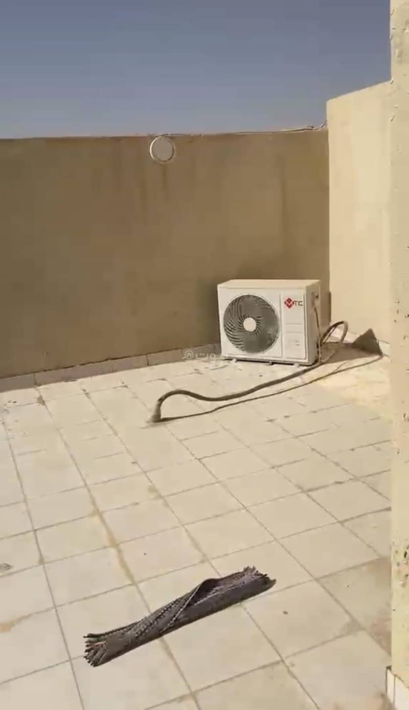 9400705-800×600-1 فيلا للبيع في بدر، الرياض مع 3 غرف بمساحة 250 م²